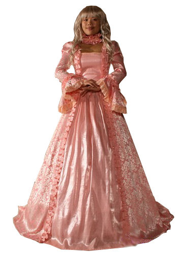 Ladies 18th Century Marie Antoinette Masked Ball Costume Size 10 - 14 Image